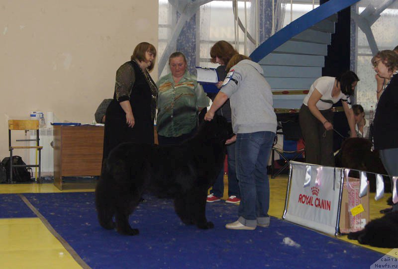 Фотография № 169656