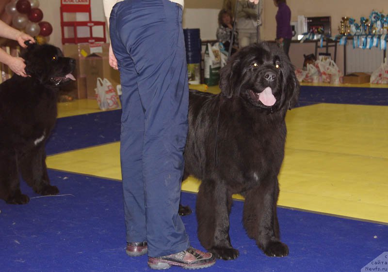 Фотография № 169657