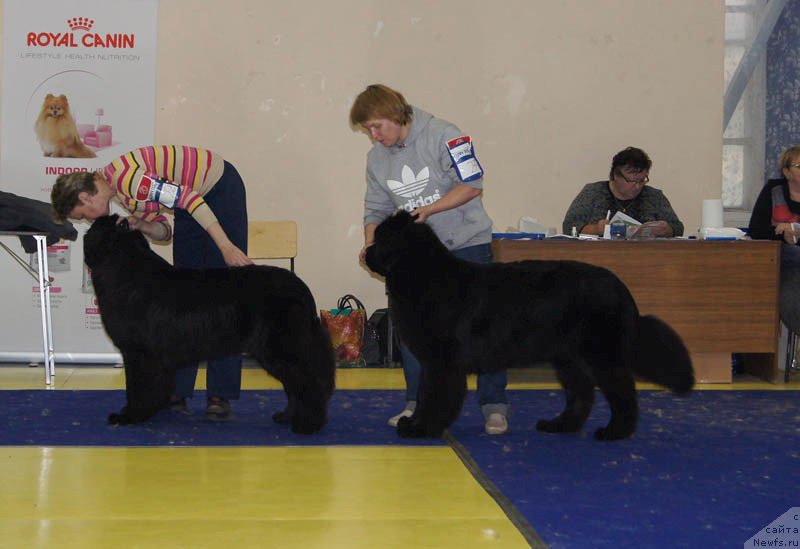 Фотография № 169658