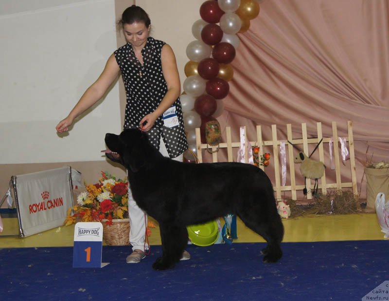 Фотография № 169659