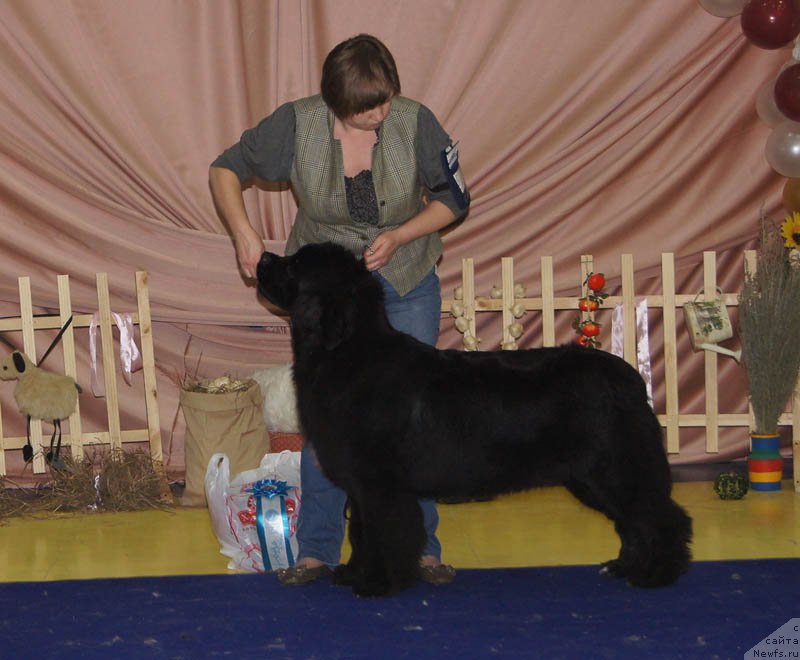 Фотография № 169661