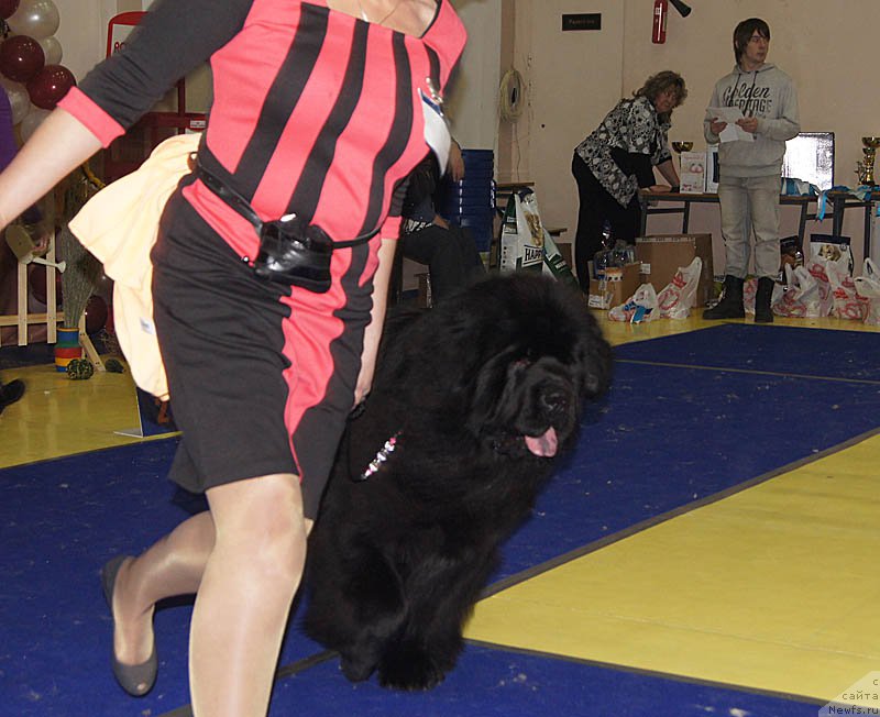 Фотография № 169663