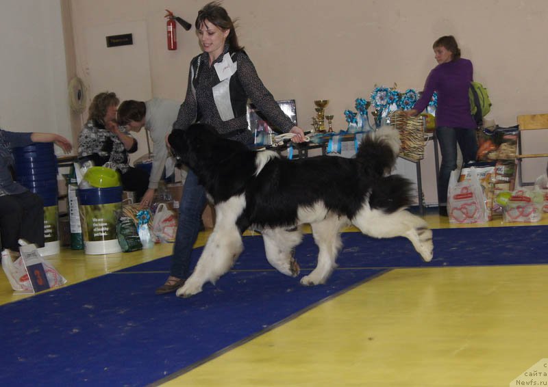 Фотография № 169665