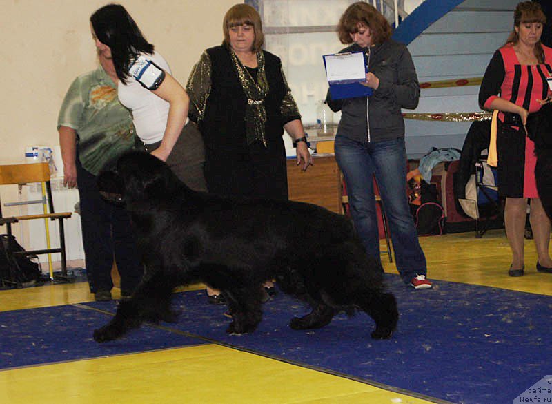 Фотография № 169666