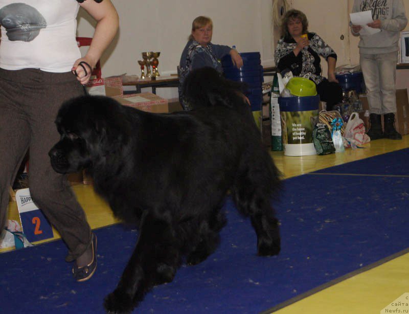 Фотография № 169667