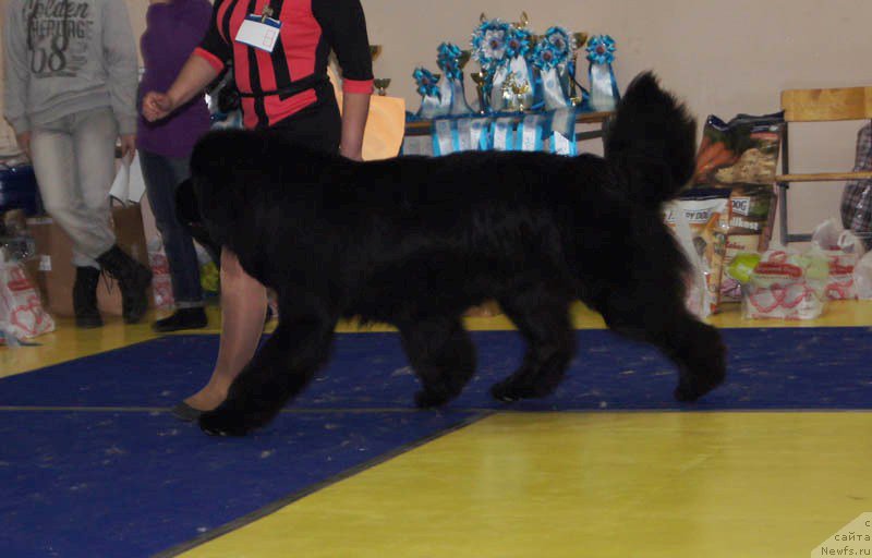 Фотография № 169668