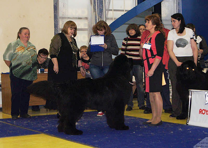 Фотография № 169669