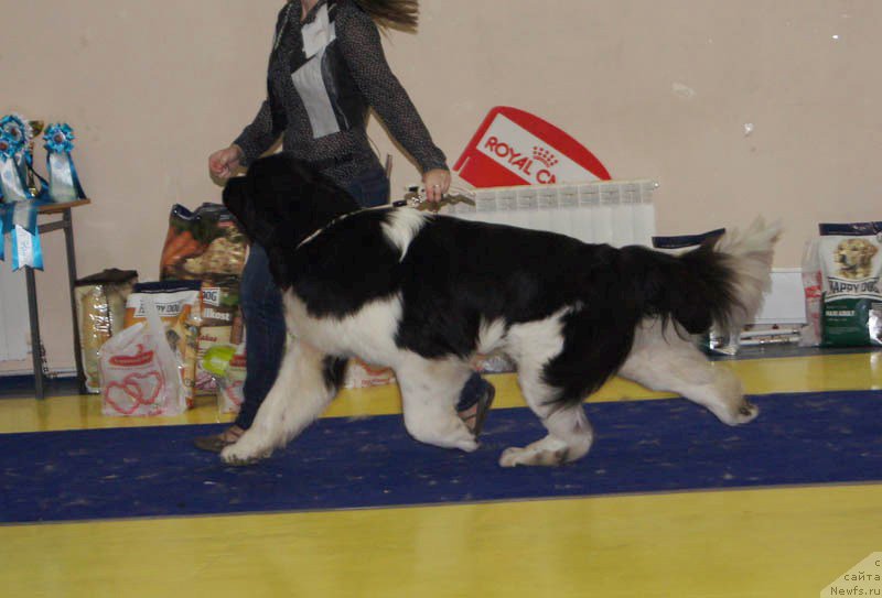 Фотография № 169670