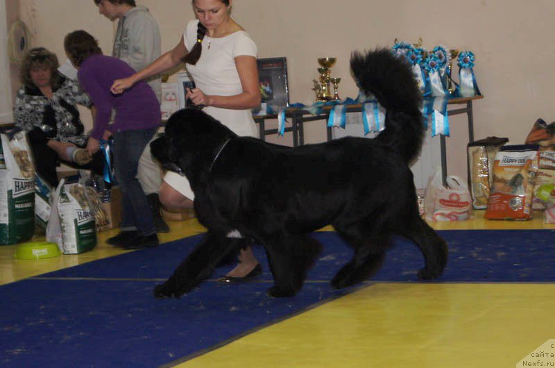 Фотография № 169672