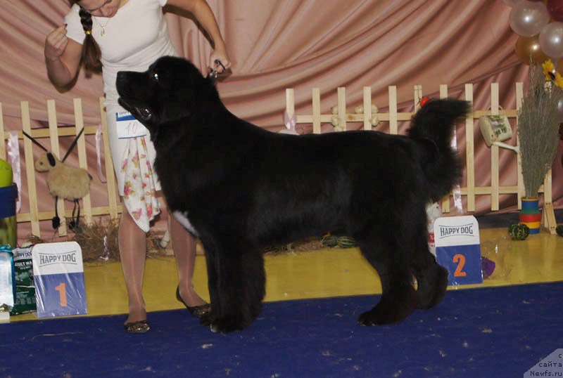 Фотография № 169673