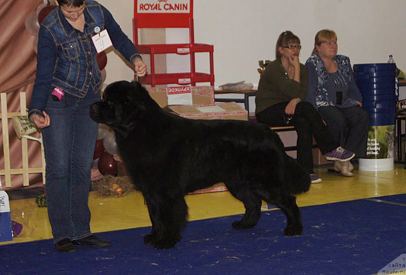 Фотография № 169675