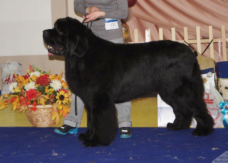 Фотография № 169676