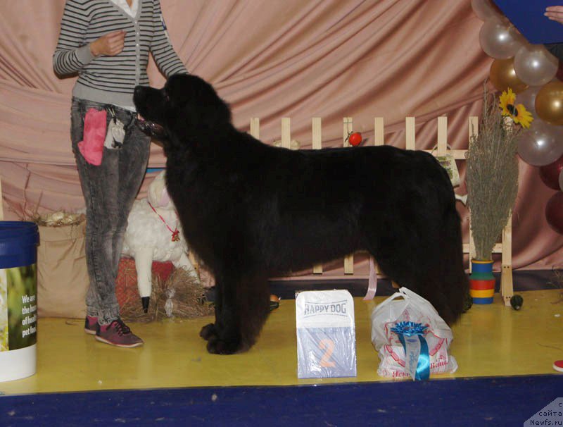 Фотография № 169677