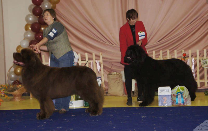 Фотография № 169679