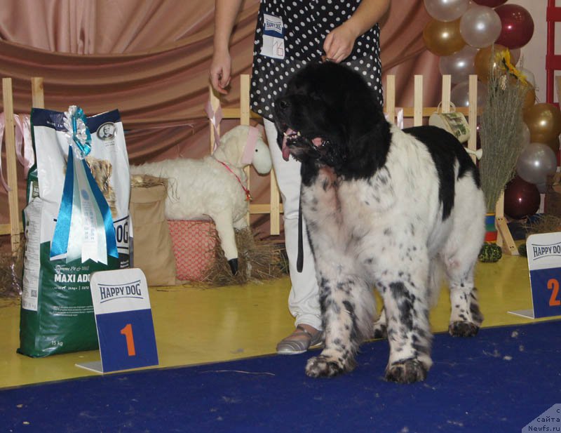 Фотография № 169680