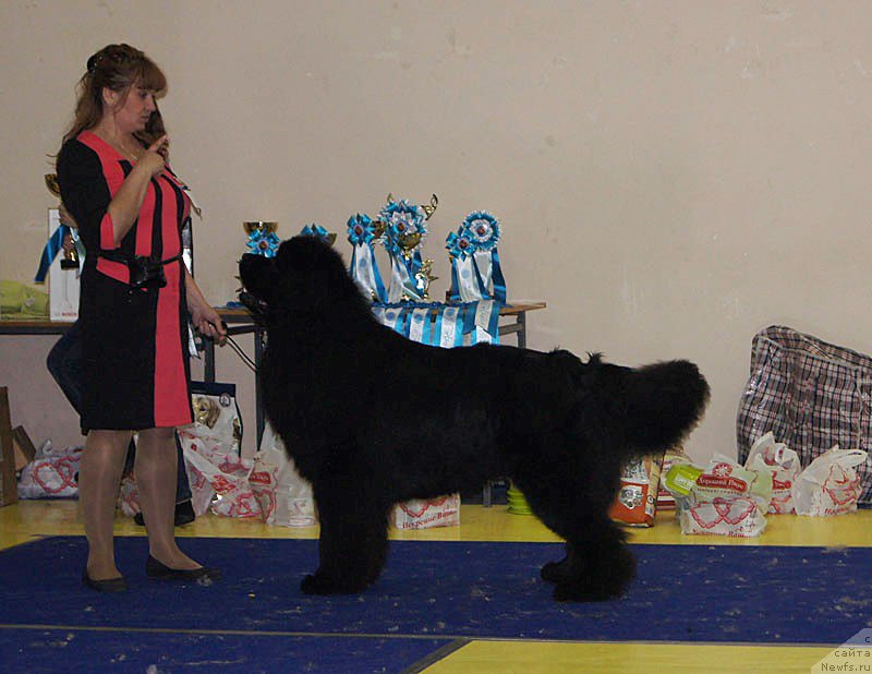 Фотография № 169681