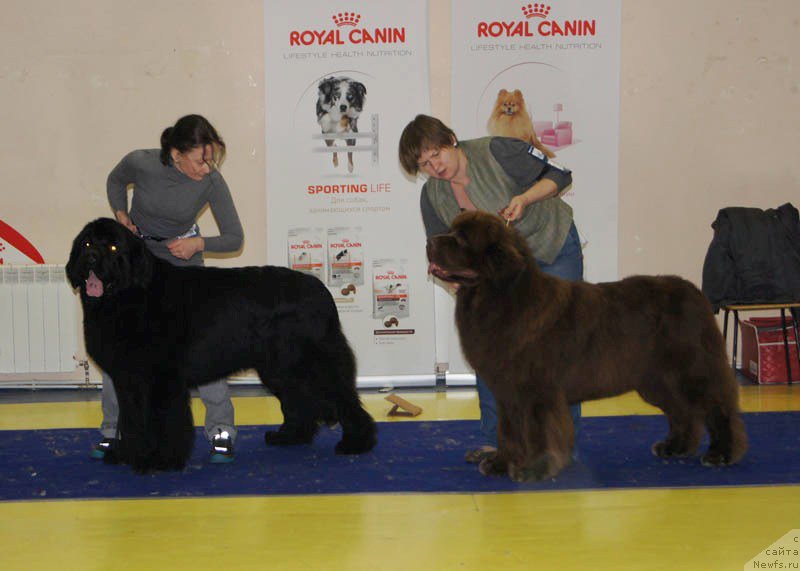 Фотография № 169682