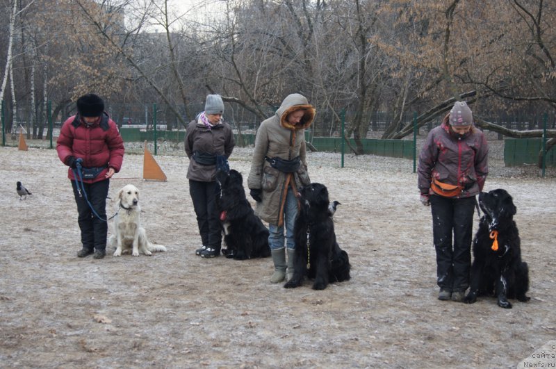 Фотография № 169684