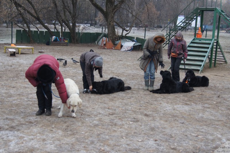 Фотография № 169685