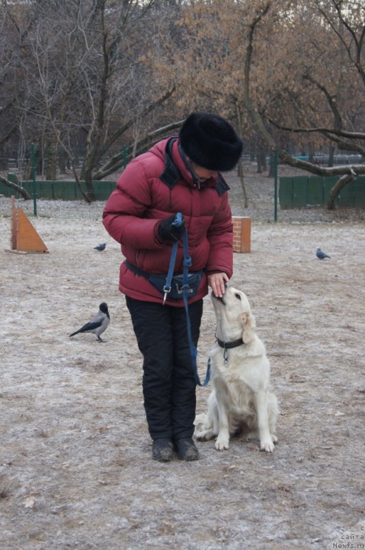 Фотография № 169686