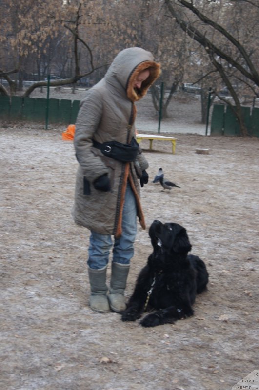 Фотография № 169687