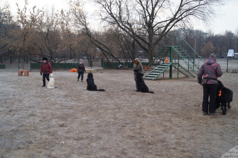 Фотография № 169689