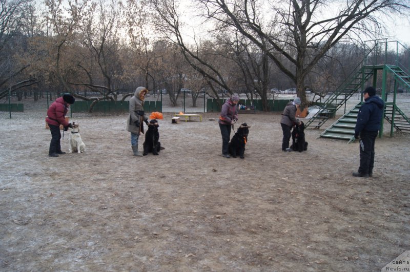 Фотография № 169690