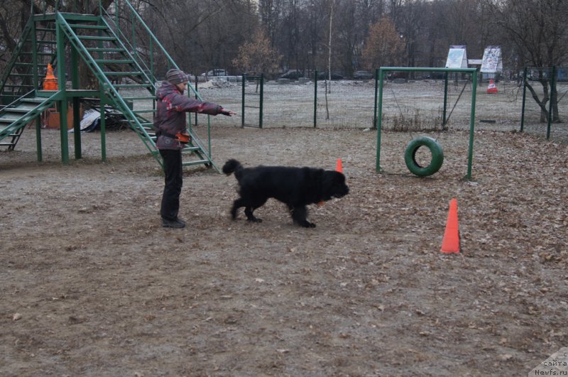 Фотография № 169691