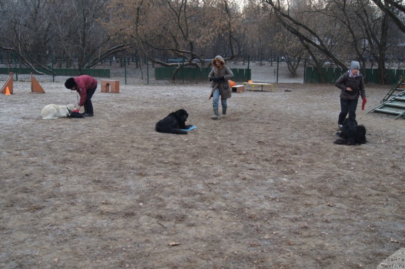 Фотография № 169692