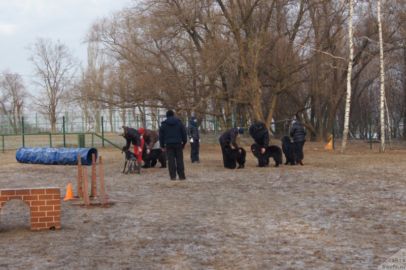 Фотография № 169693