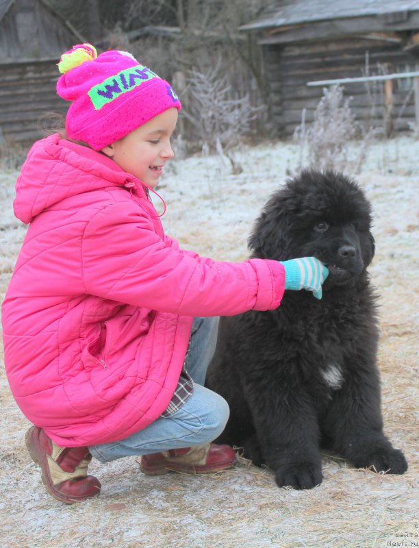 Фотография № 169695