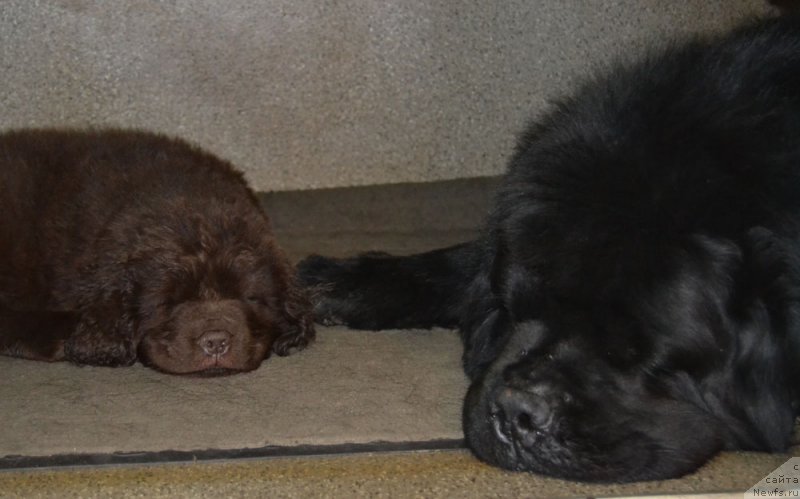 Фотография № 169729