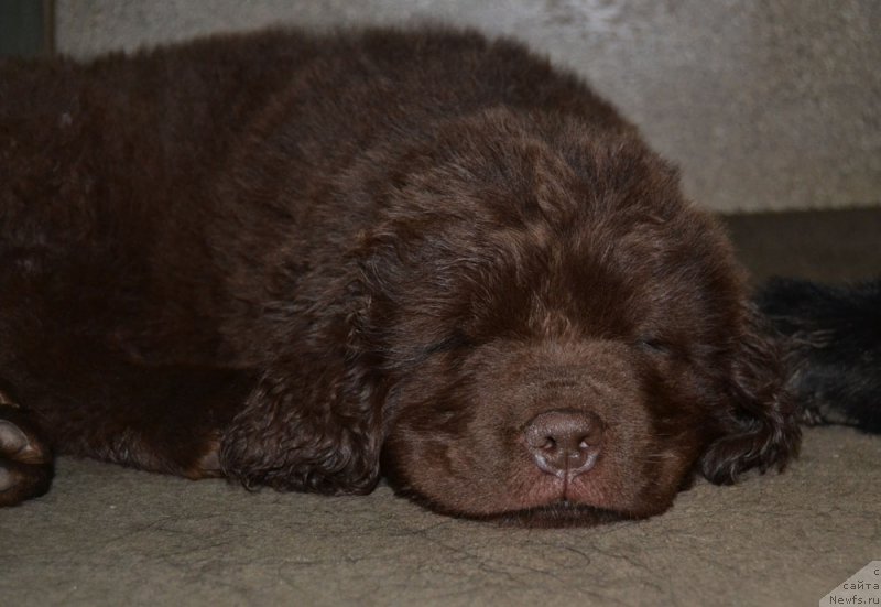 Фотография № 169730