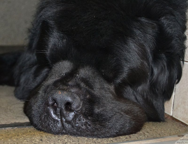 Фотография № 169731