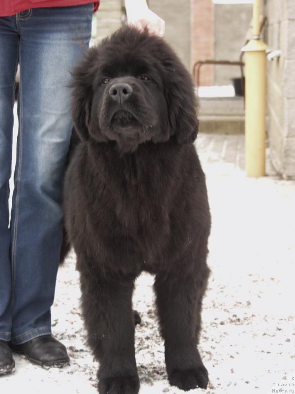 Фотография № 169733