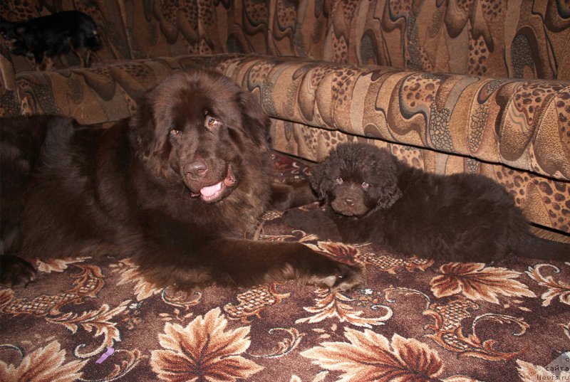 Фотография № 169737