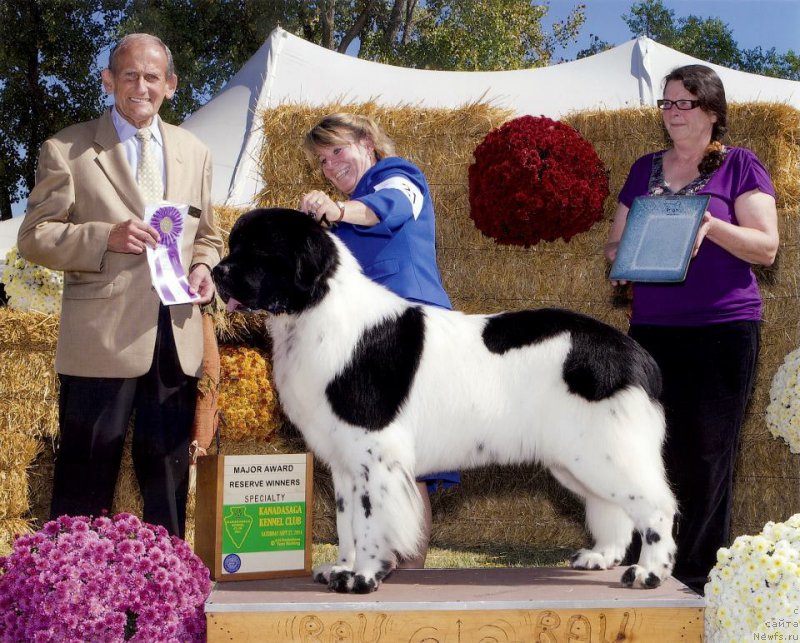 Фотография № 169739