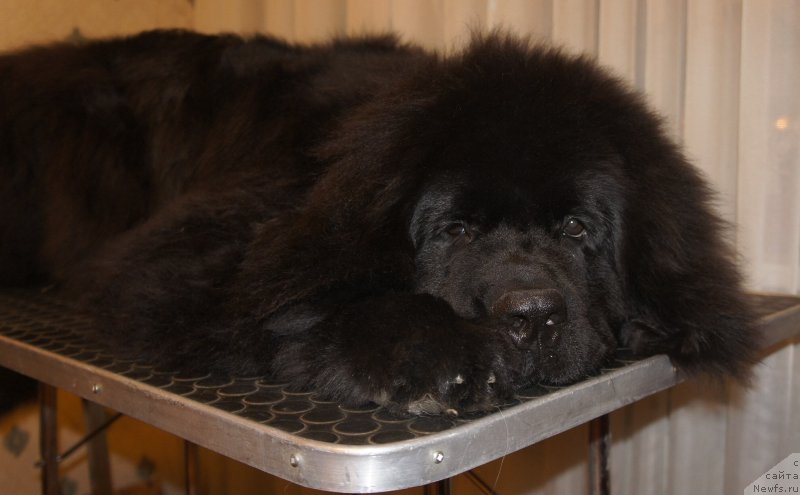 Фотография № 169754