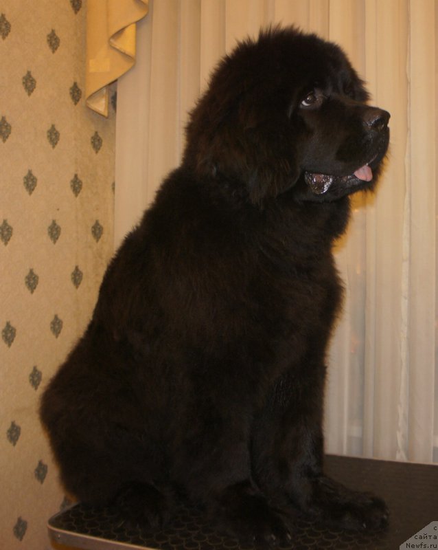 Фотография № 169756