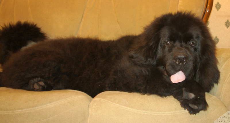 Фотография № 169757