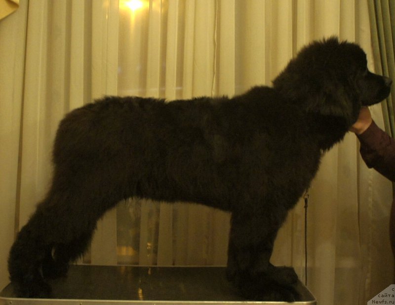 Фотография № 169758