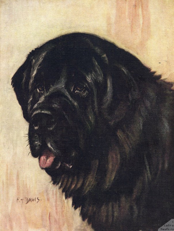 Фотография № 169788