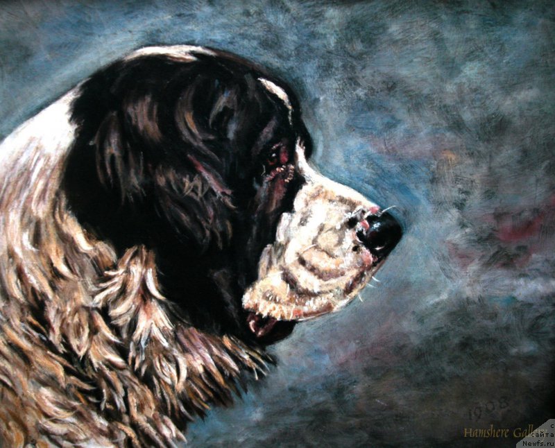 Фотография № 169789