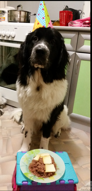 Фотография № 169791