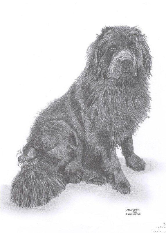 Фотография № 169792