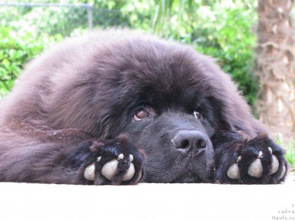 Фото: Black clouds eddie murphy