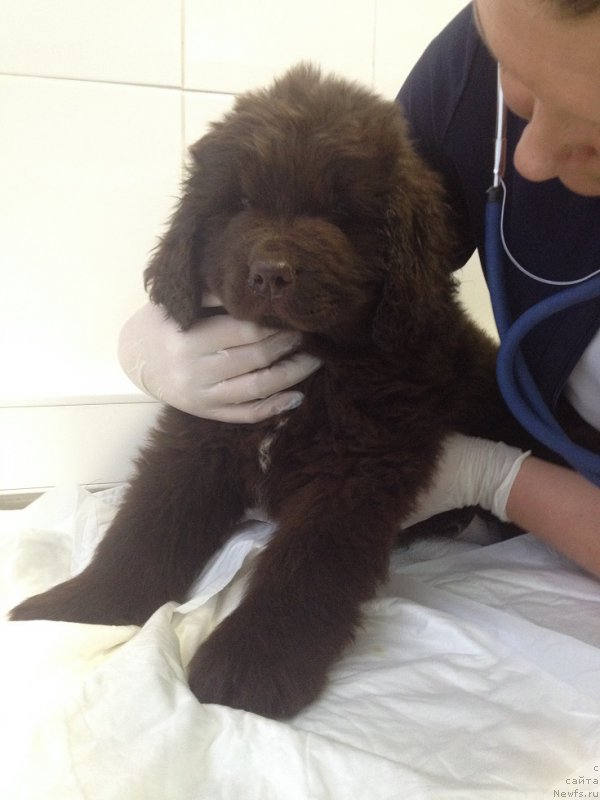 Фотография № 169807