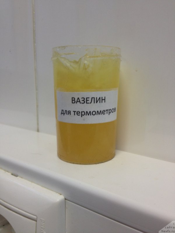 Фотография № 169808