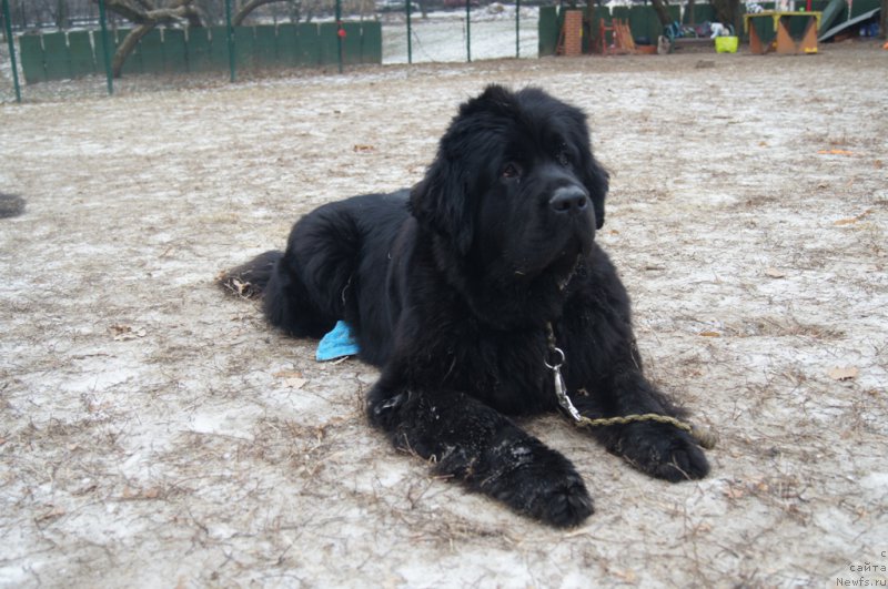 Фотография № 169810