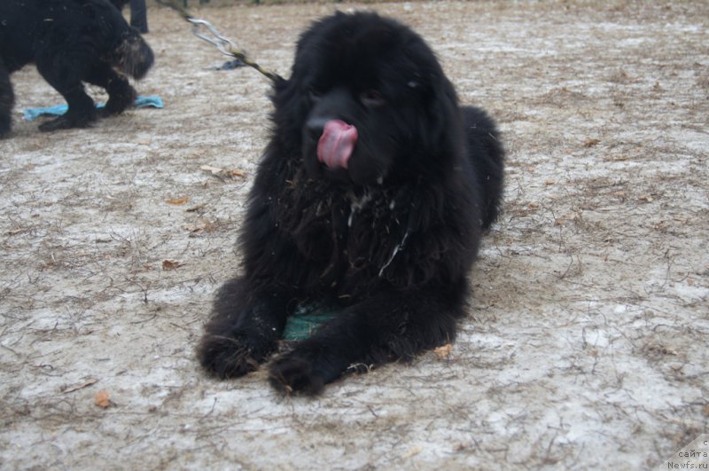 Фотография № 169811